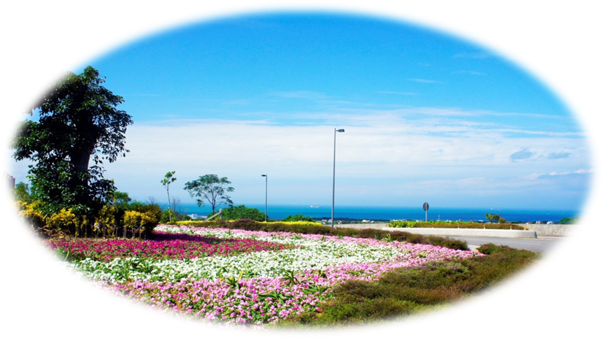 Campus Environment